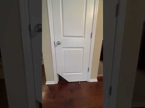 Load video: non-standard Kitty Korner cat door installation