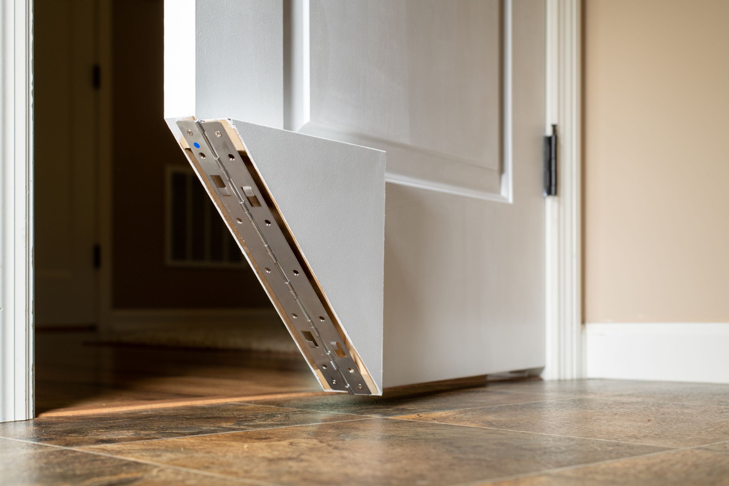 hinge with cat door locked open