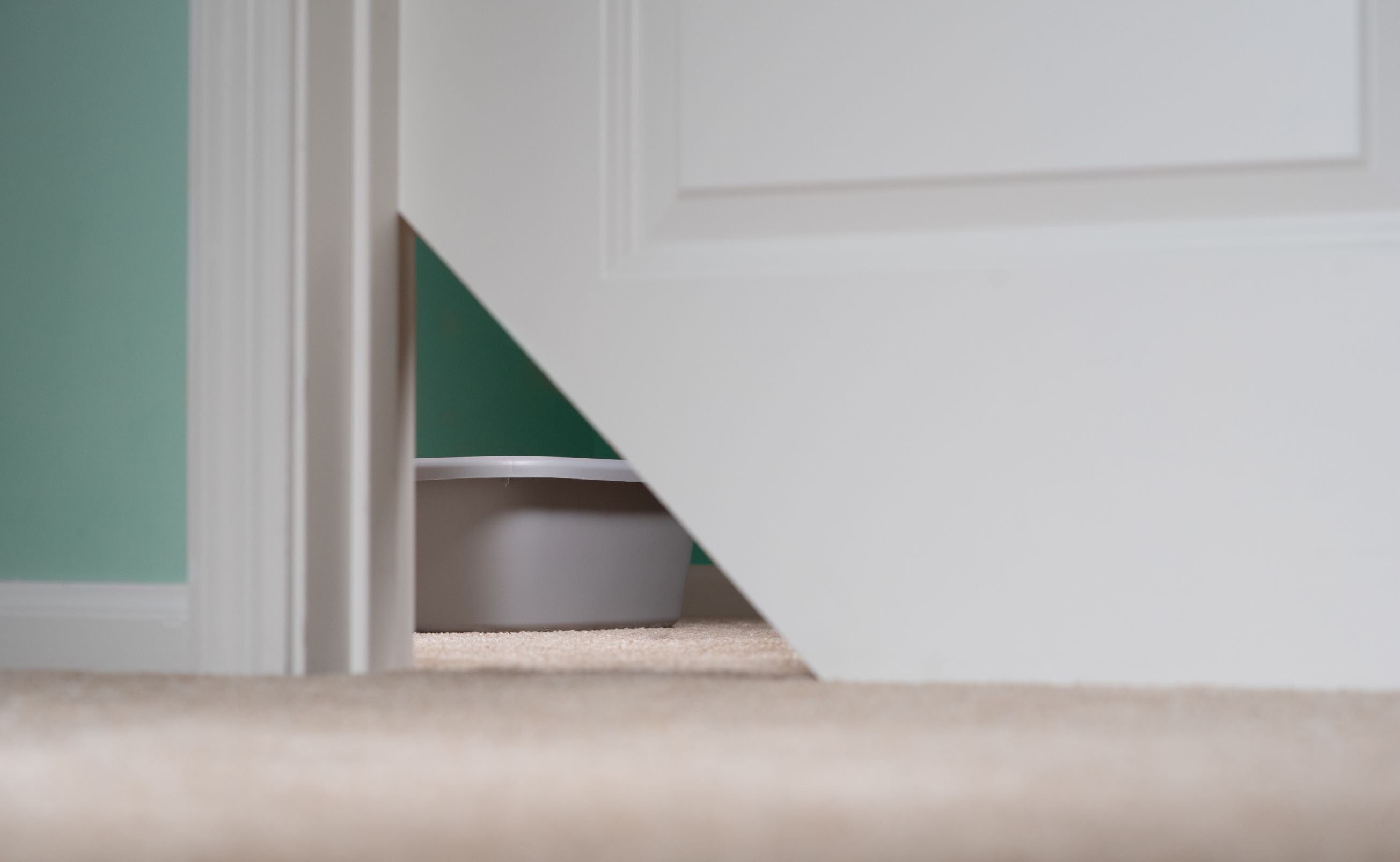 hiding the litter box with kitty korner cat door 