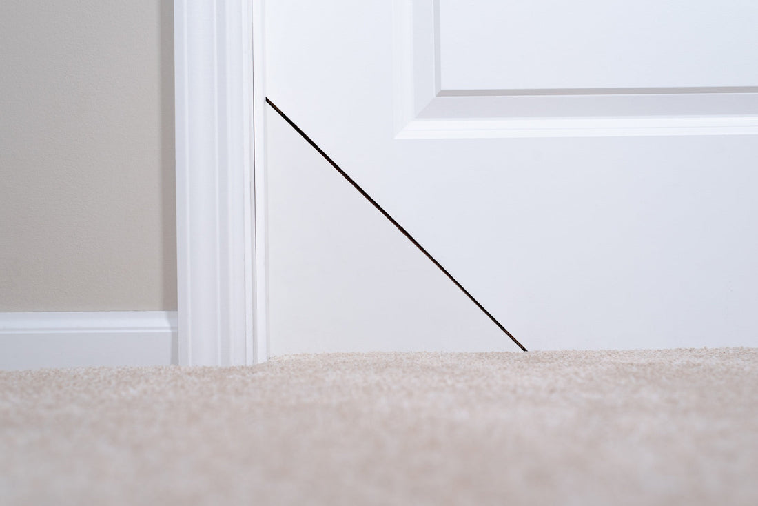 Discreet Pet Door Review for Cat Owners